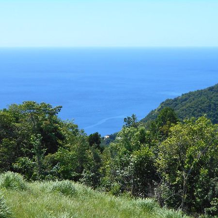 Diamond View Cottages 로조 외부 사진