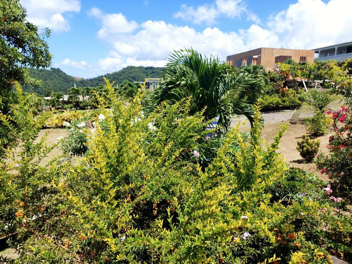 Diamond View Cottages 로조 외부 사진