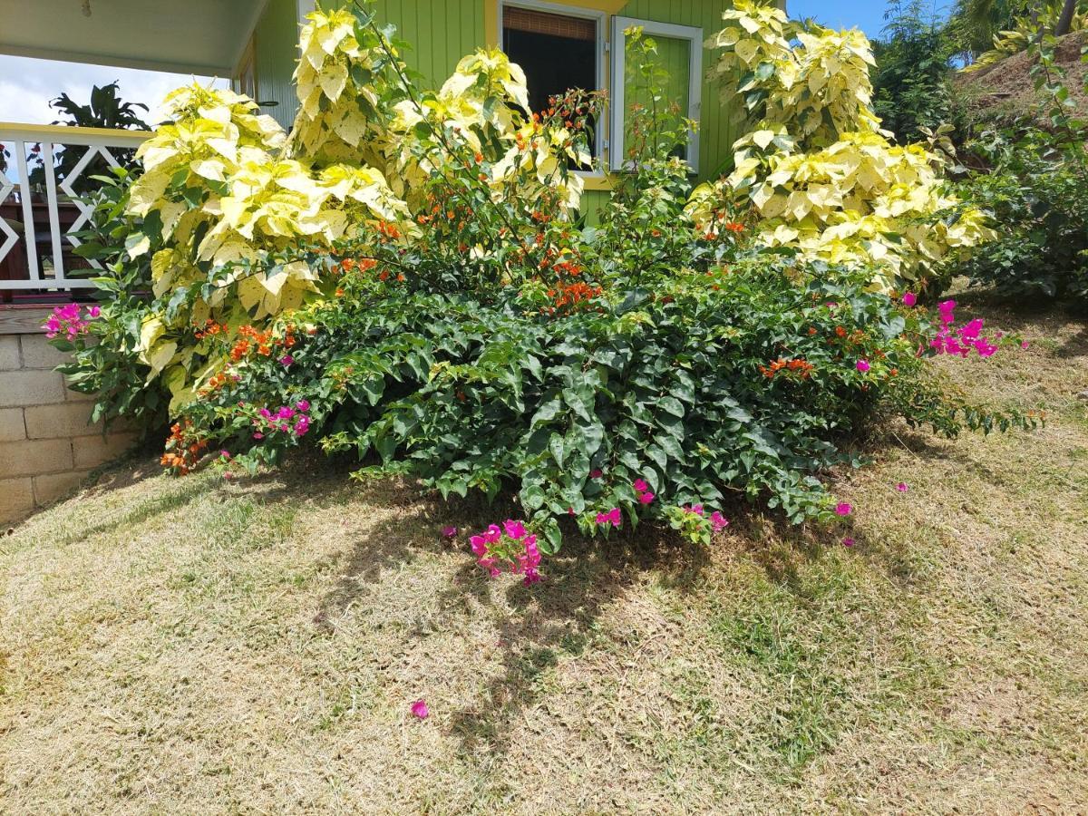Diamond View Cottages 로조 외부 사진