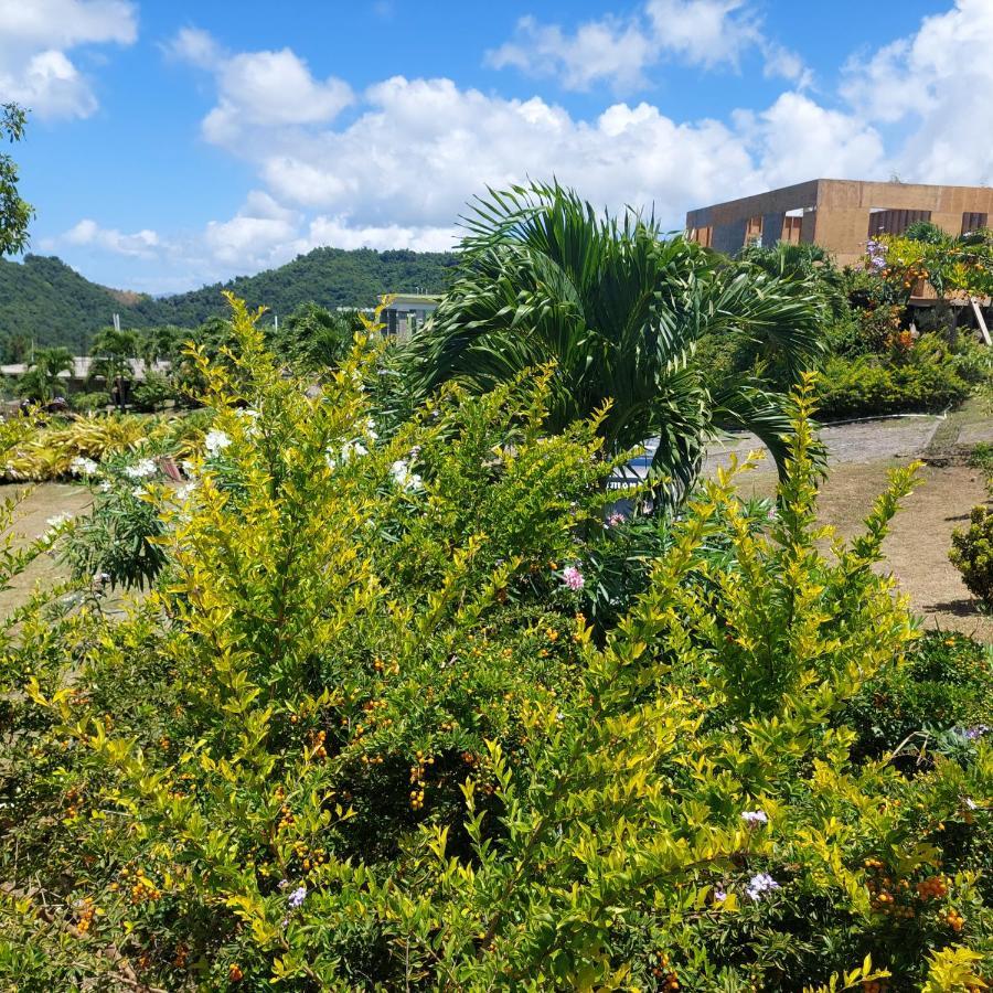 Diamond View Cottages 로조 외부 사진
